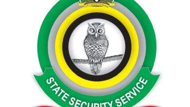 DSS Salary Structure 2025/2026: Complete Guide to Officers' Pay, Allowances & Stipends Payment