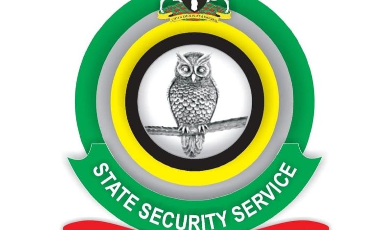 DSS Salary Structure 2025/2026: Complete Guide to Officers' Pay, Allowances & Stipends Payment